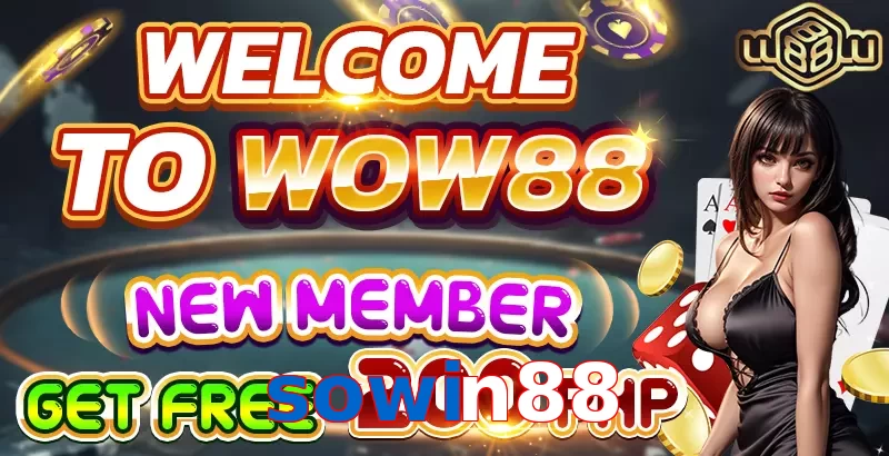 sowin88
