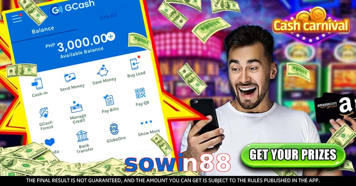 sowin88