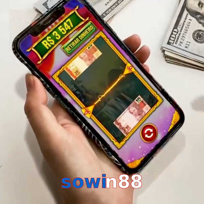 sowin88