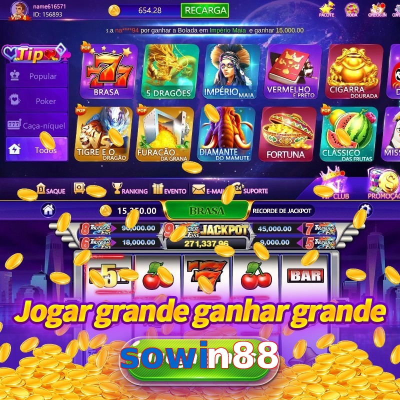 sowin88