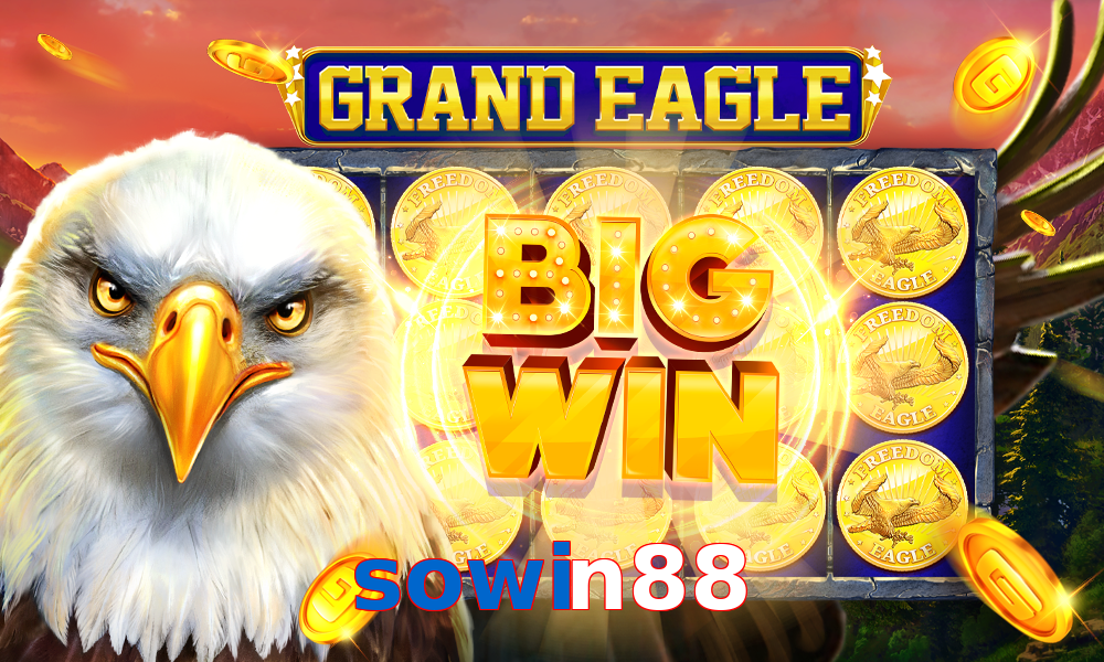 sowin88