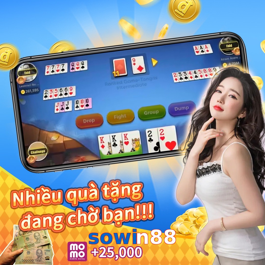 sowin88