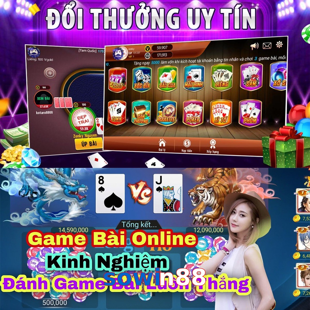 sowin88