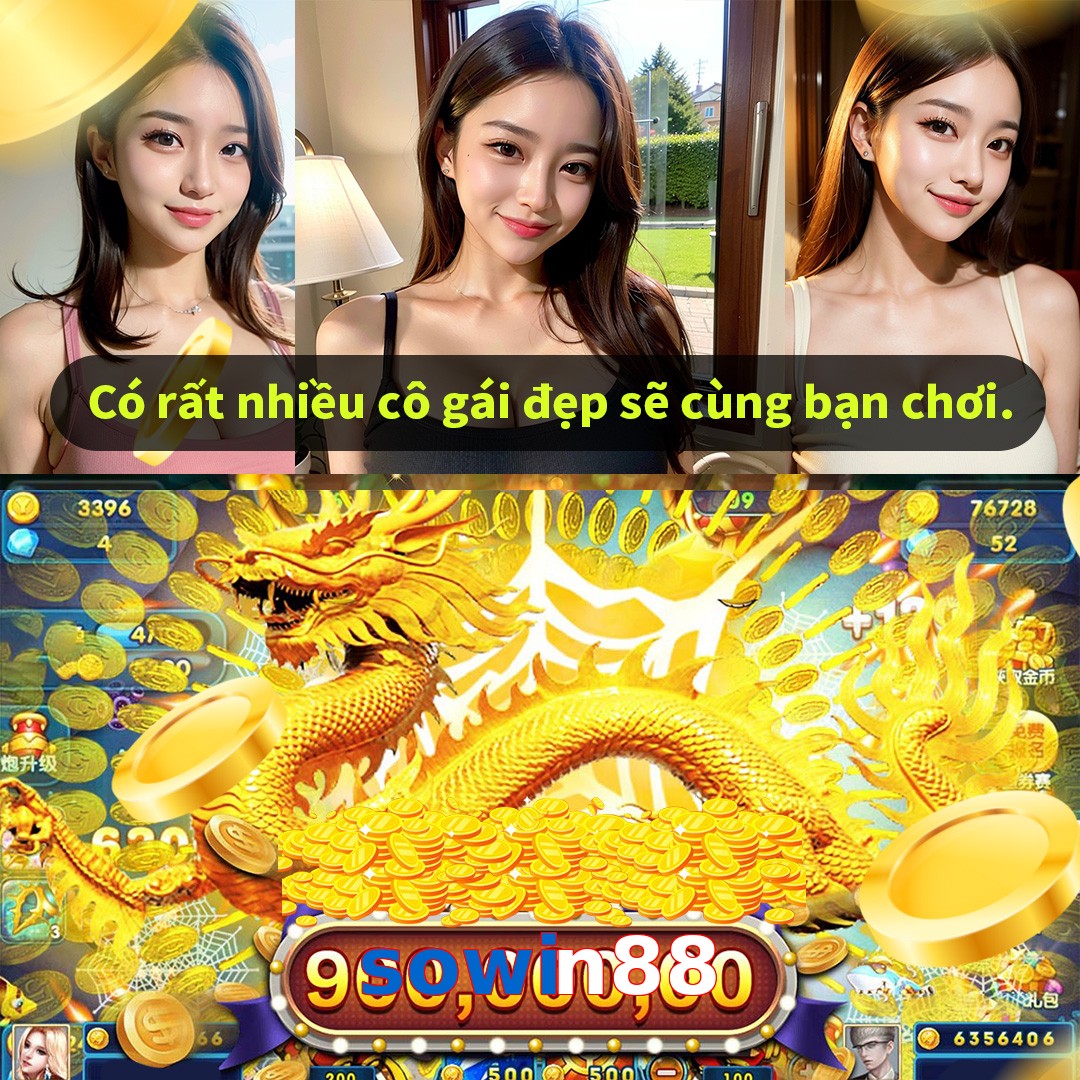 sowin88