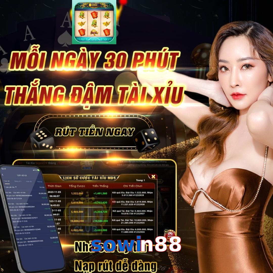 sowin88