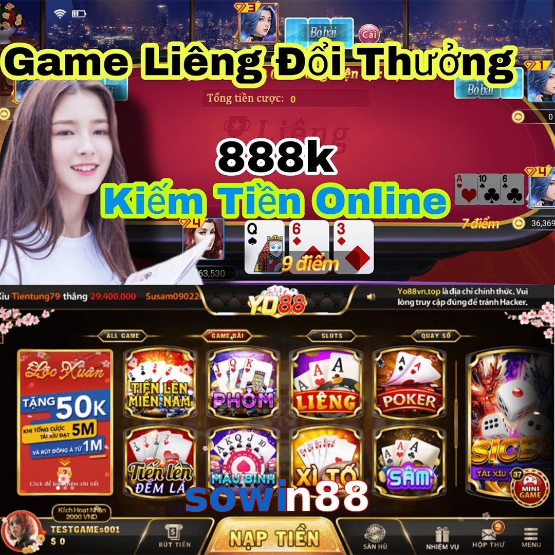 sowin88