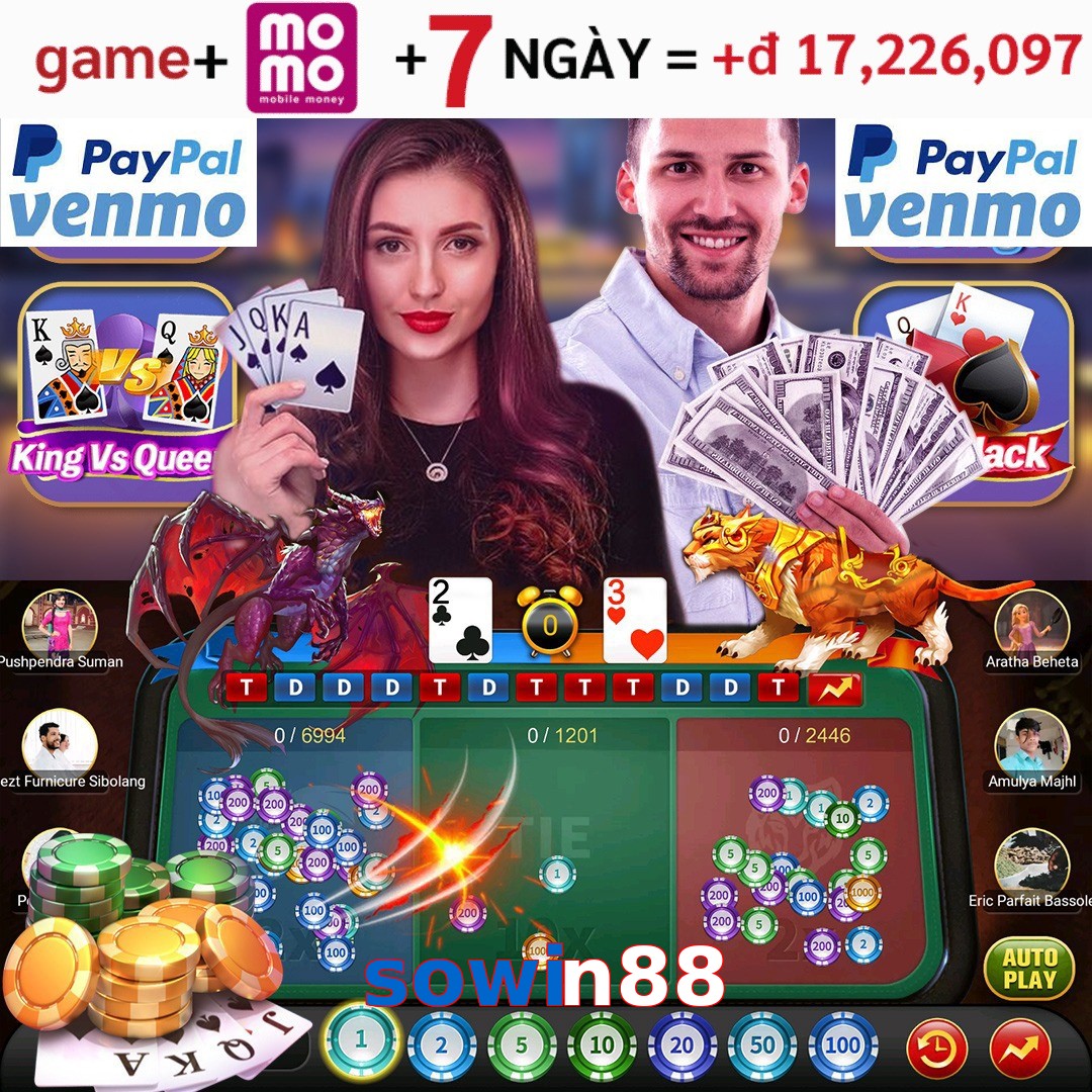 sowin88
