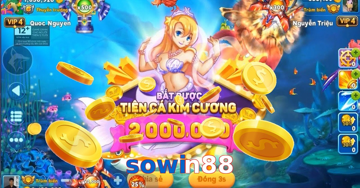 sowin88