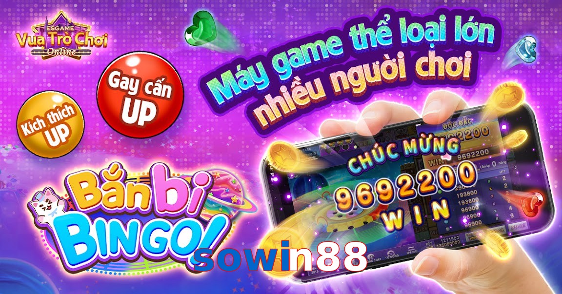 sowin88