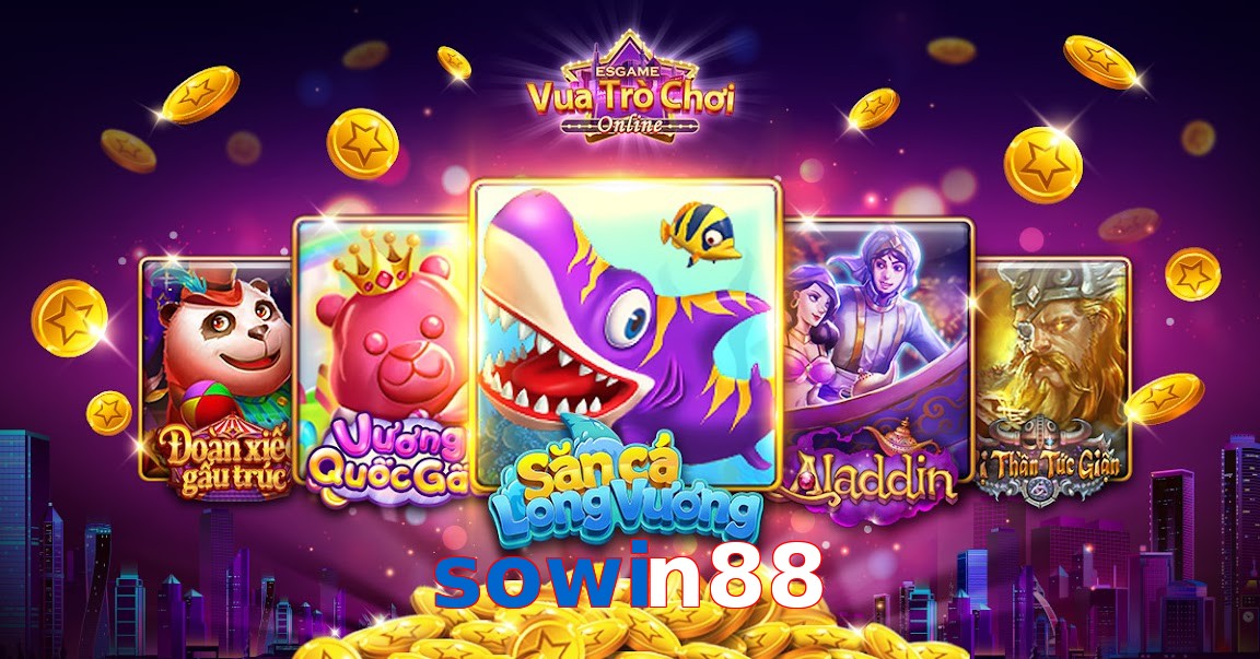 sowin88