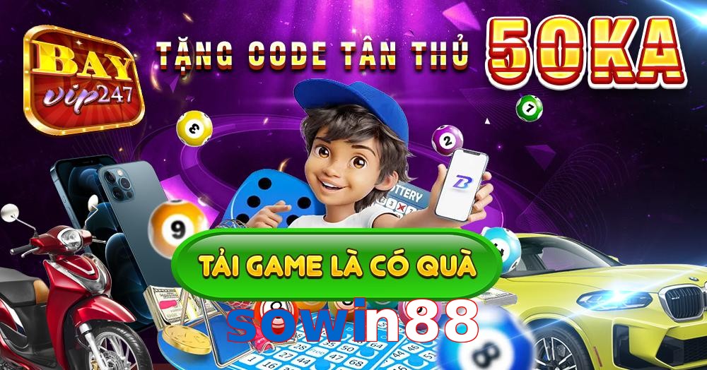 sowin88