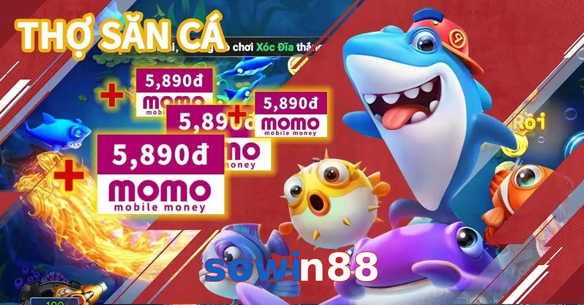 sowin88
