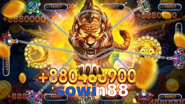 sowin88
