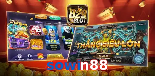 sowin88