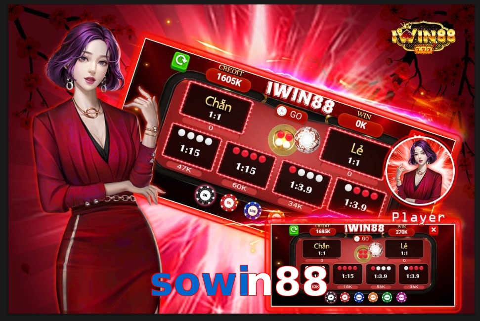 sowin88