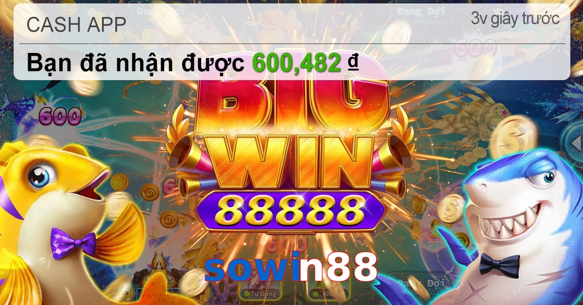 sowin88