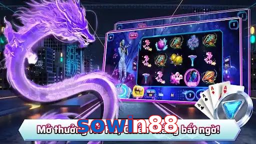 sowin88