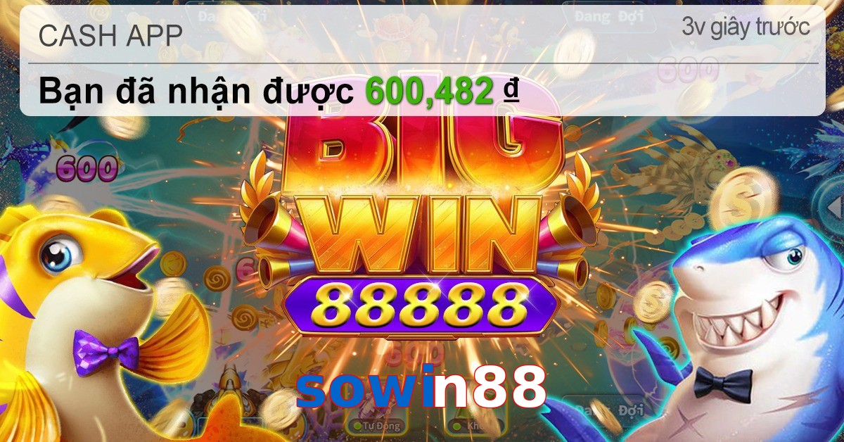 sowin88