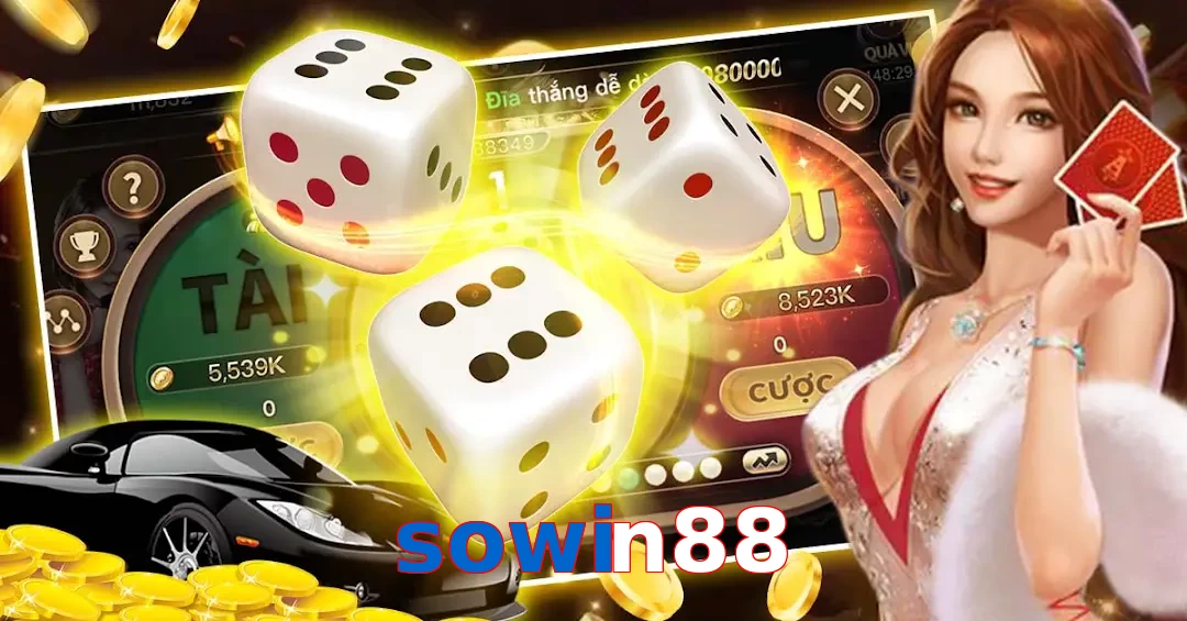 sowin88