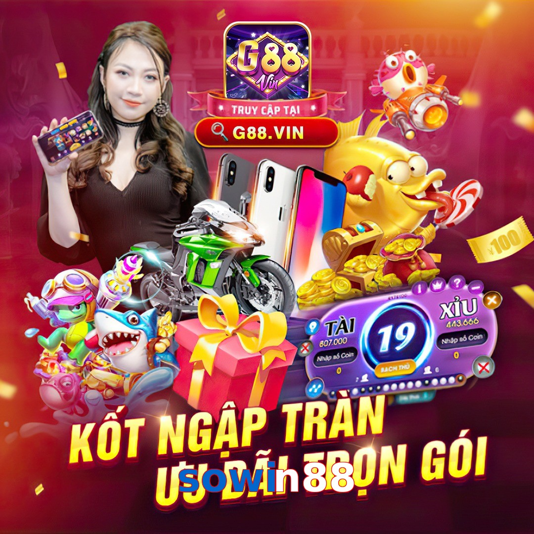 sowin88