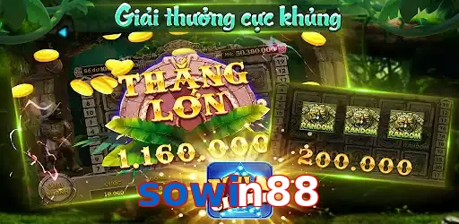 sowin88