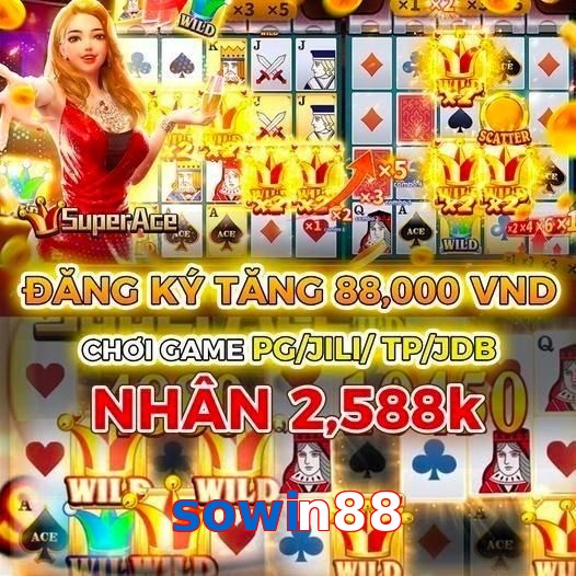 sowin88