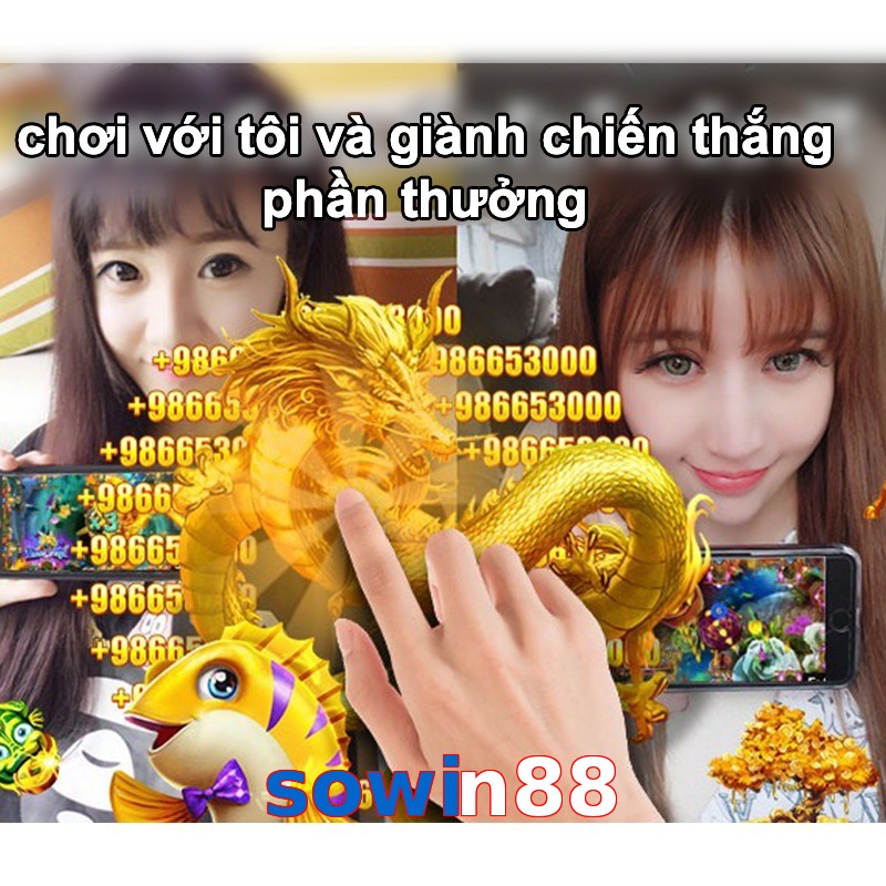 sowin88