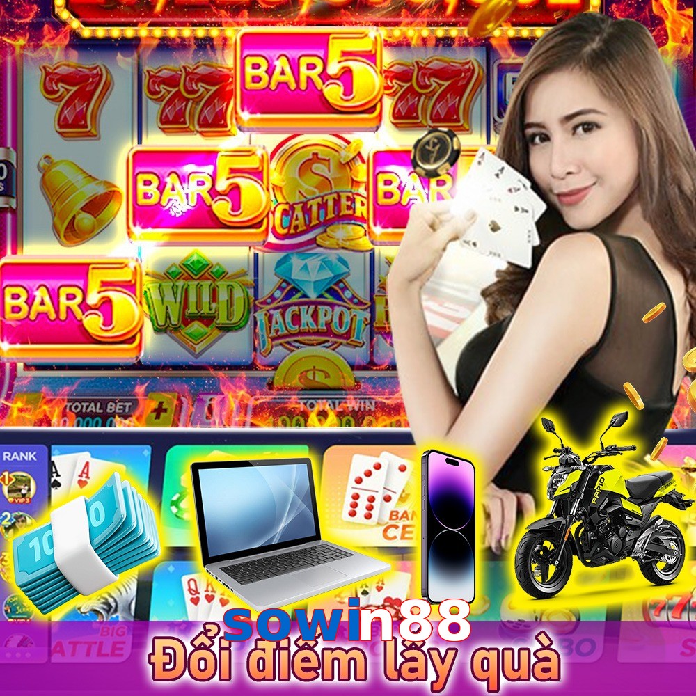 sowin88