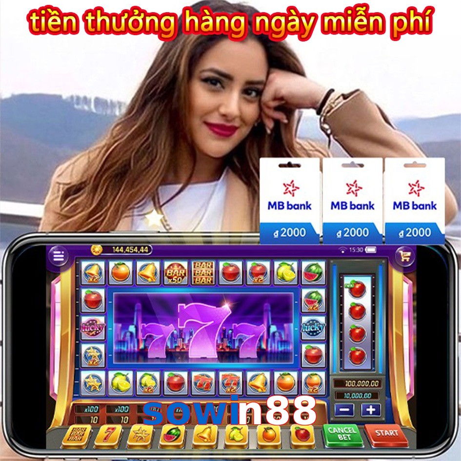 sowin88