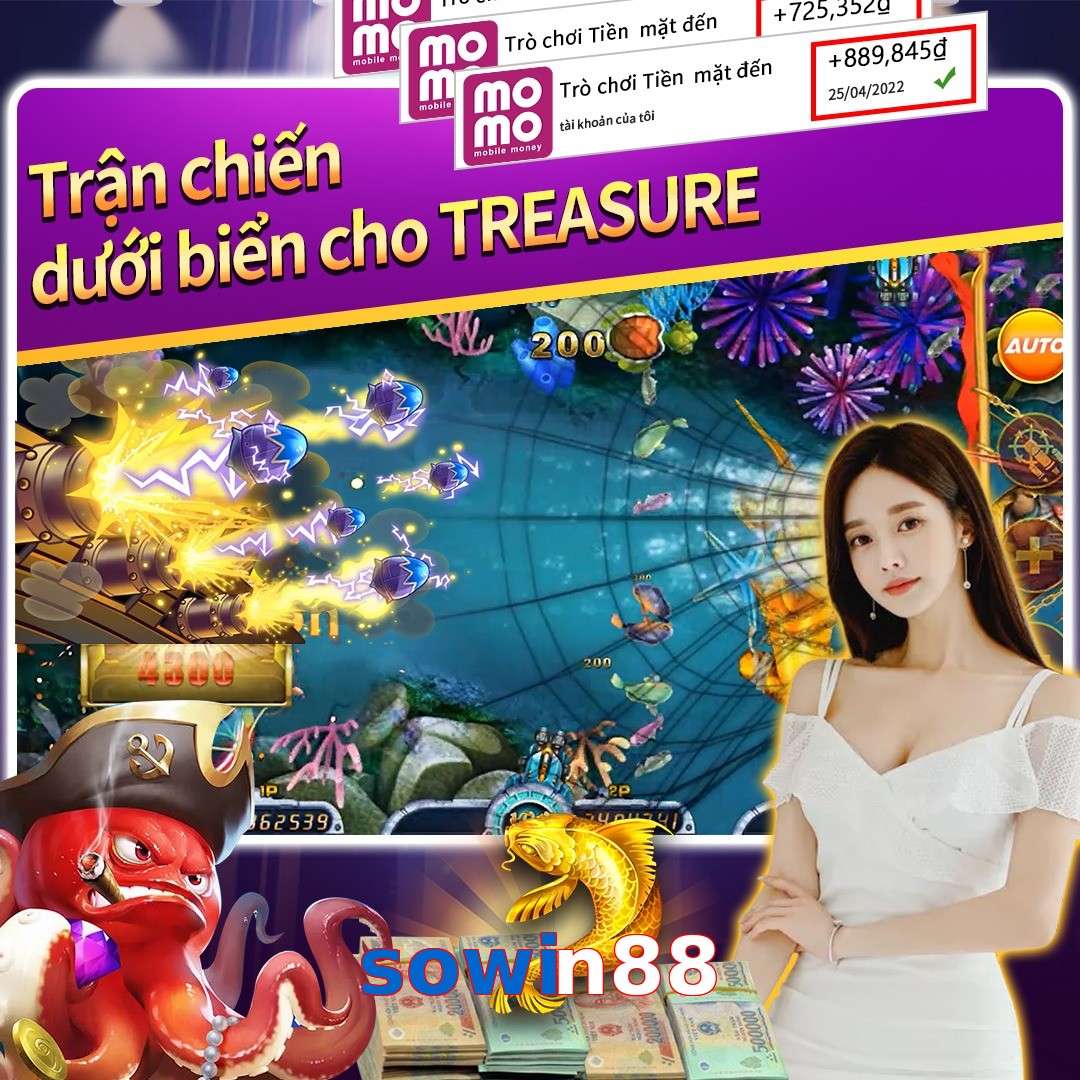 sowin88