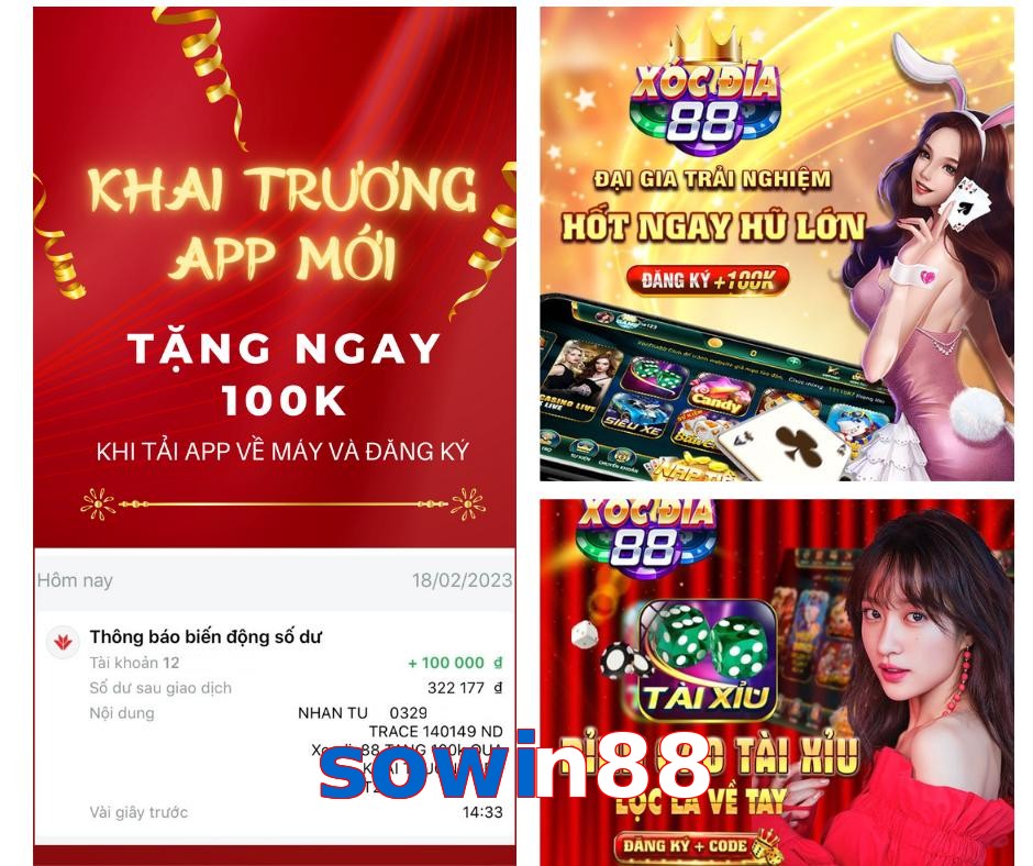 sowin88