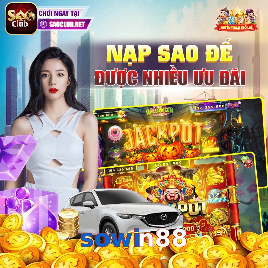 sowin88